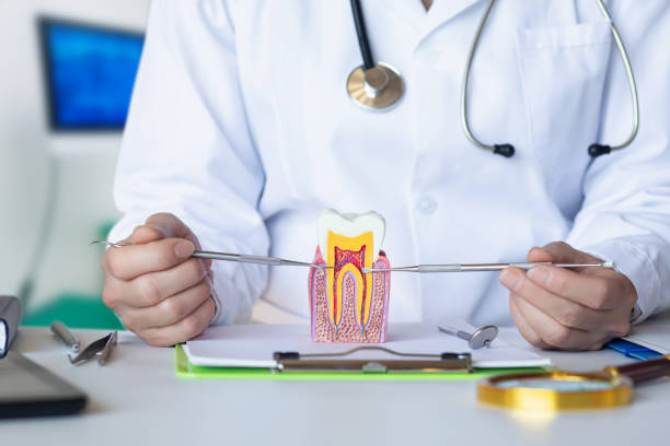 Best Emergency Orthodontic Repairs in Rancho Cordova, CA